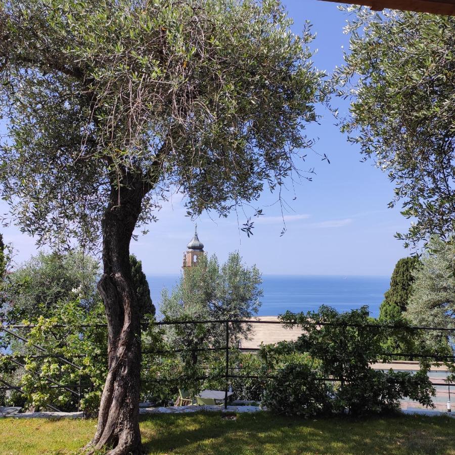 Locanda Goeghin 皮耶韦利古雷 外观 照片
